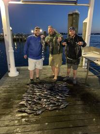 Great time to go Sea Bassing 