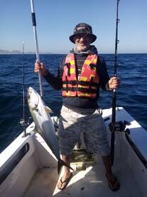 The mahi-mahi are back