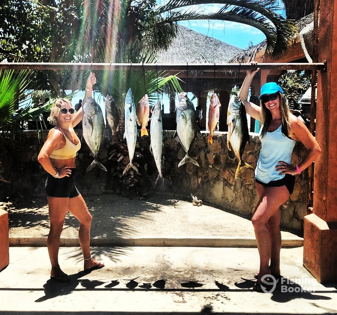San Jose del Cabo Report Photo 0