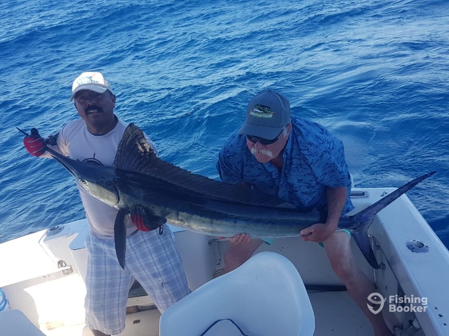 San Jose del Cabo Report Photo 0