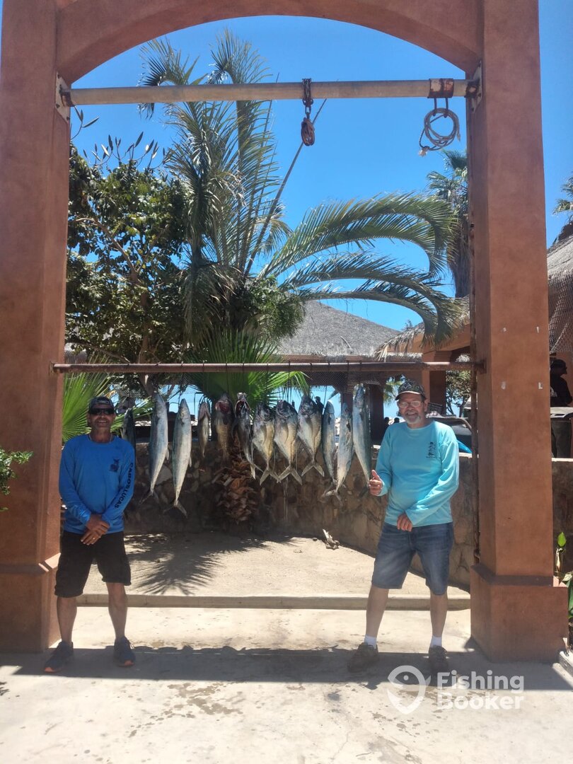 San Jose del Cabo Report Photo 0