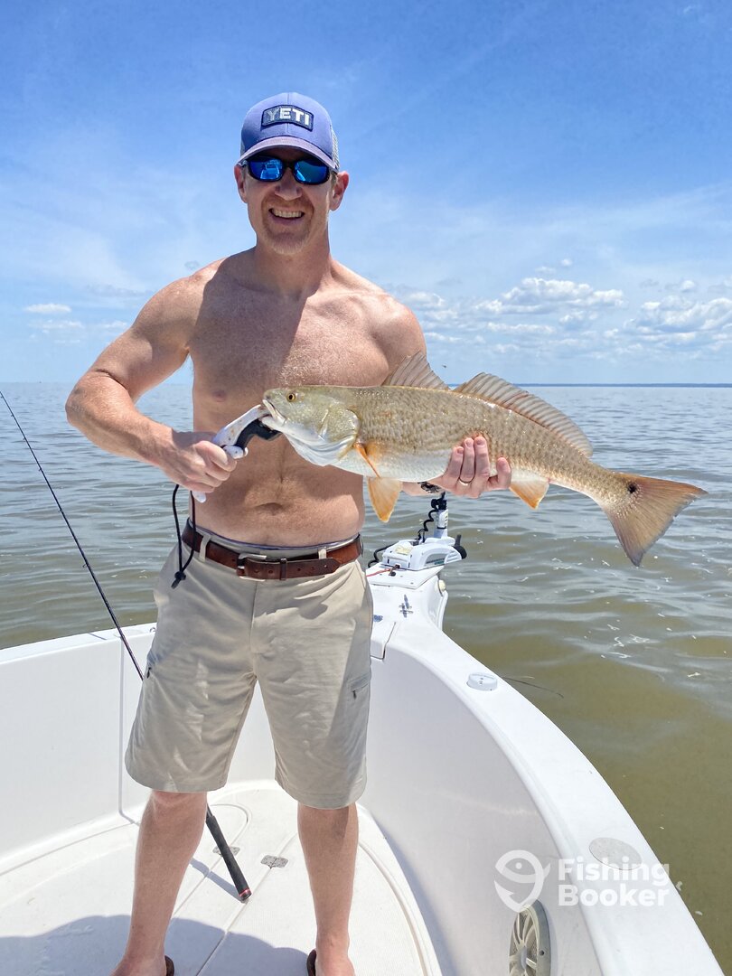 Fairhope Report Photo 0