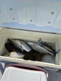 Galveston Report Photo 1