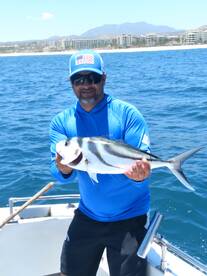 San Jose del Cabo Report Photo 2