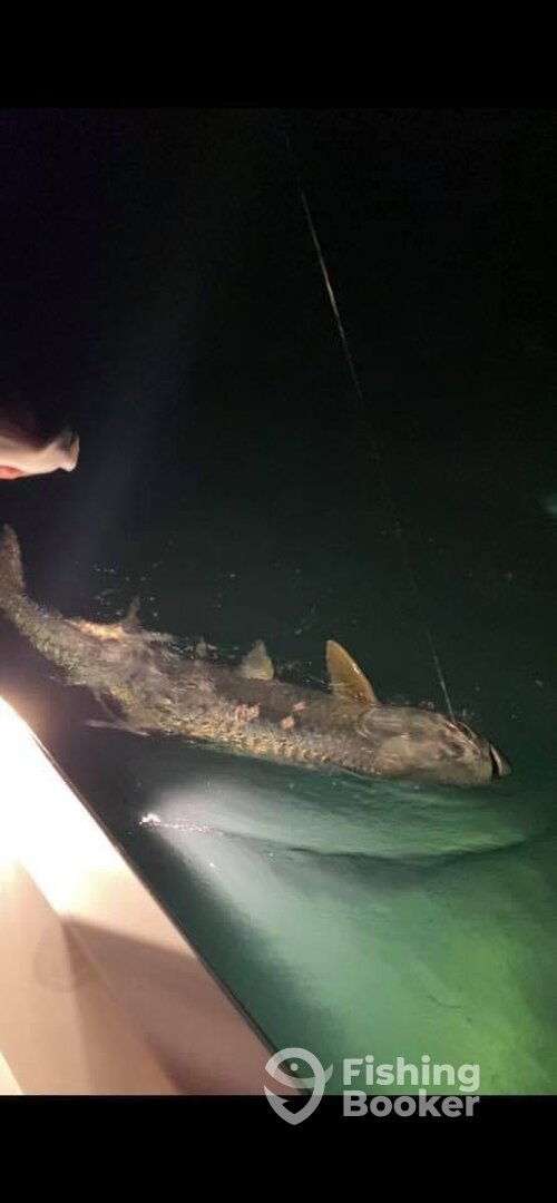 Islamorada Report Photo 0