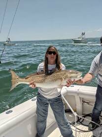 Black seabass and more