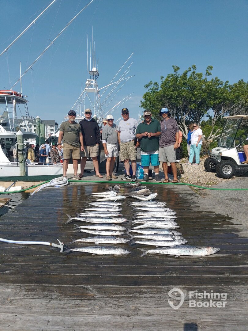 Manteo Report Photo 0