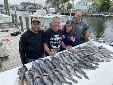Lacey Township Report Photo 1