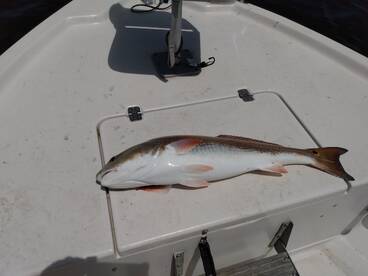 Panama City Beach Report Photo 2