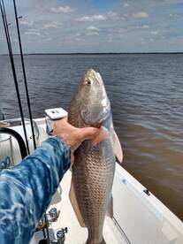 Panama City Beach Report Photo 1