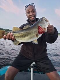 Orlando Report Photo 1