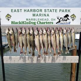 Lakeside Marblehead Report Photo 2