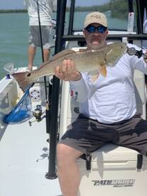 Marco Island Report Photo 2