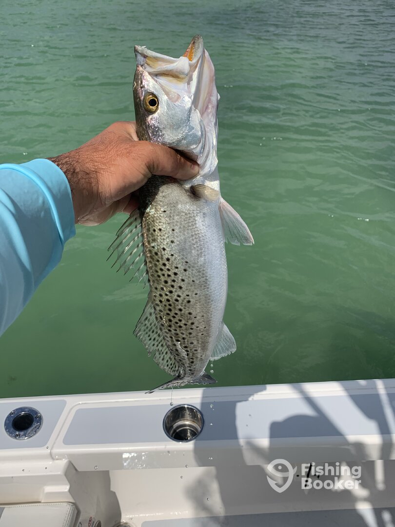 Marco Island Report Photo 0