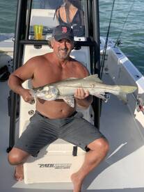 Marco Island Report Photo 1