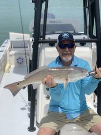 Redfish for bill