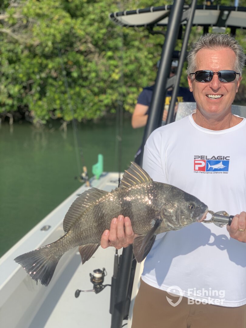 Marco Island Report Photo 0