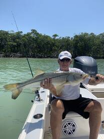 Big Big Fish