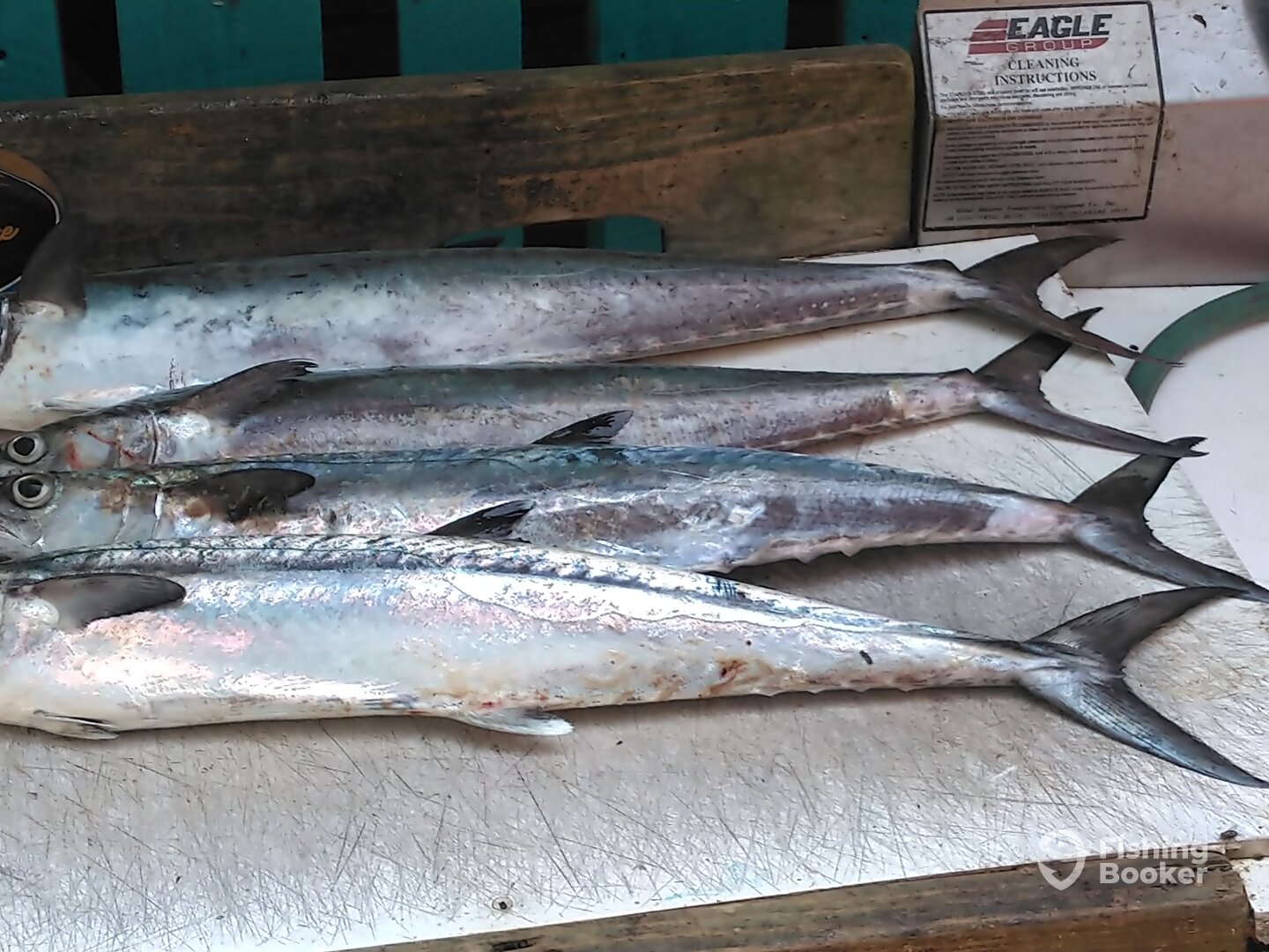 Murrells Inlet Report Photo 0
