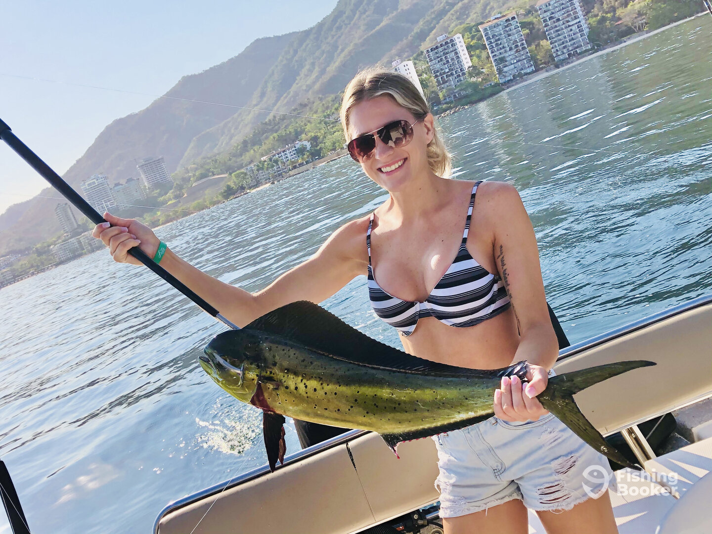 Puerto Vallarta Report Photo 0