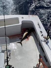 Ocracoke Report Photo 2