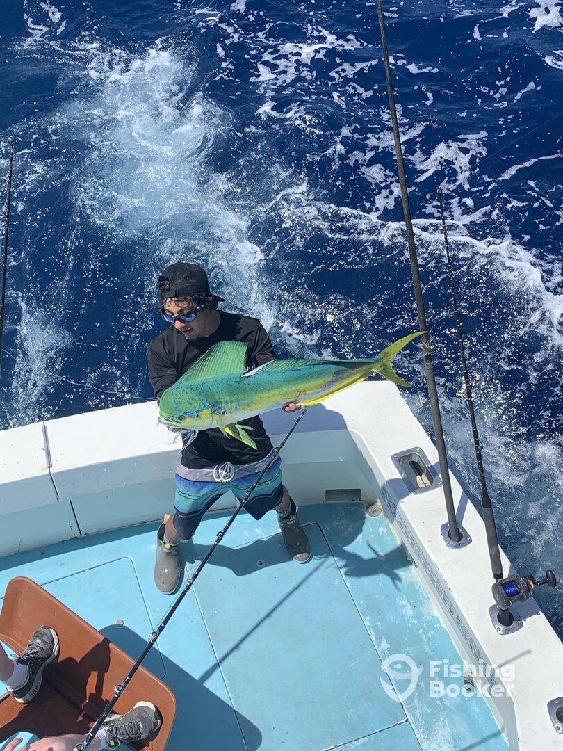 Boynton Beach Report Photo 0