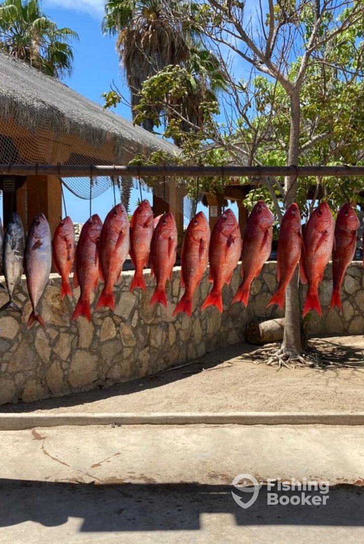 San Jose del Cabo Report Photo 0