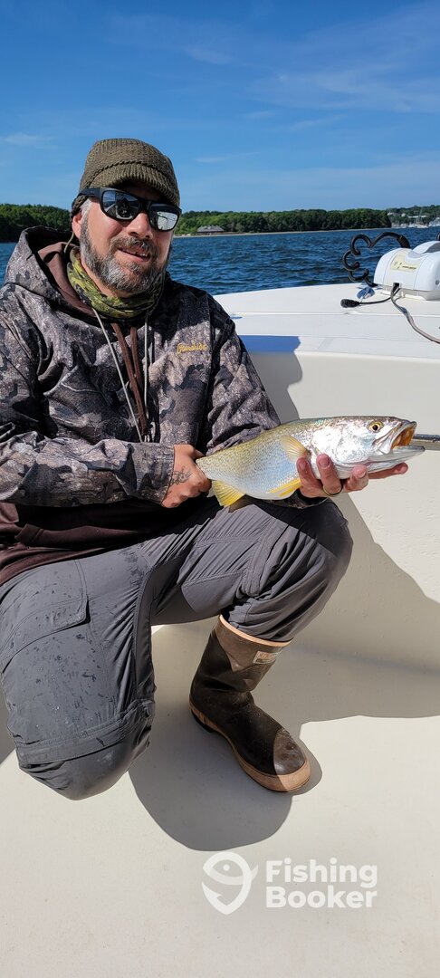 Narragansett Report Photo 0
