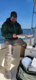 Weakfish bite is strong, with non stop hookups.