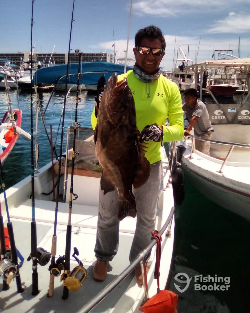 San Jose del Cabo Report Photo 0