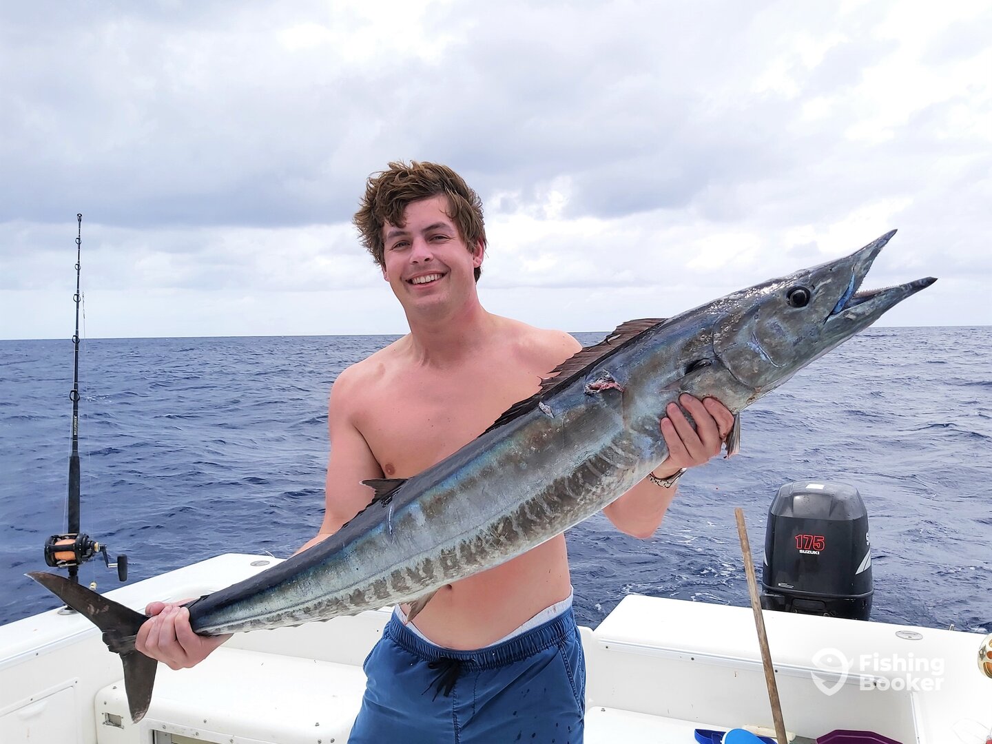 Wahoo
