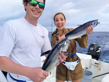 Blackfin & Skip Jack Tunas