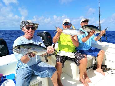 Blackfin Tunas