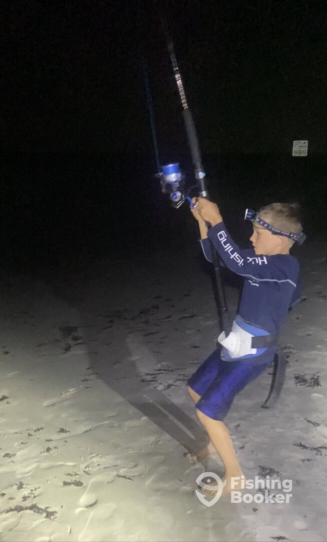 New Smyrna Beach Report Photo 0