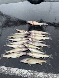 Lakeside Marblehead Report Photo 2