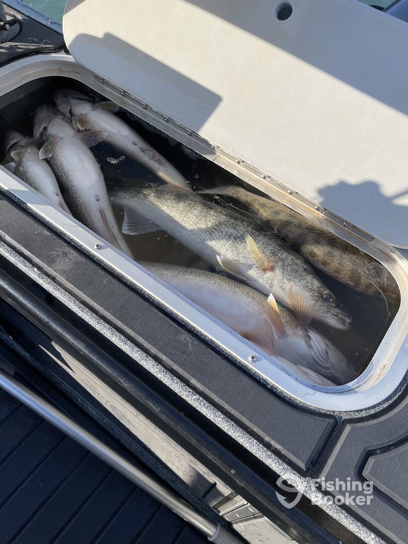 Lakeside Marblehead Report Photo 0