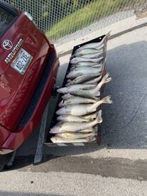 Lakeside Marblehead Report Photo 1