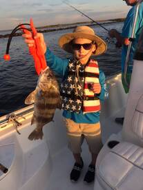 Barataria Report Photo 1