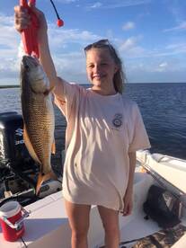 Barataria Report Photo 2
