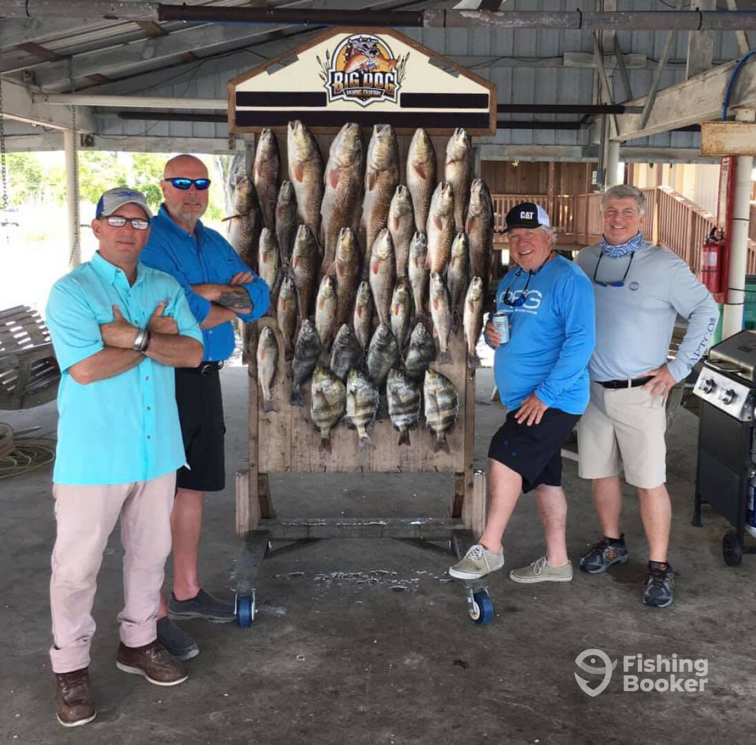Barataria Report Photo 0