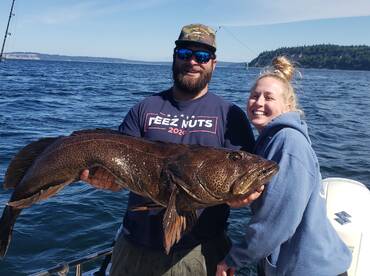 Monster Lingcod in the puget sound