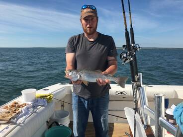 Montauk Report Photo 2