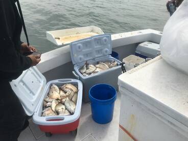 Montauk Report Photo 1