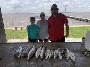 Palacios Report Photo 1