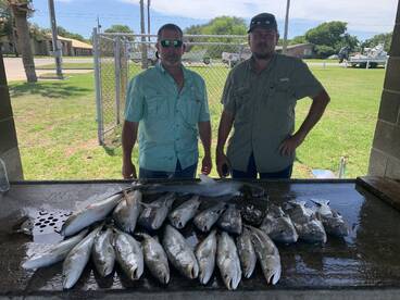 Palacios Report Photo 2