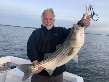 Dennis Report Photo 1