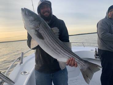 Dennis Report Photo 2