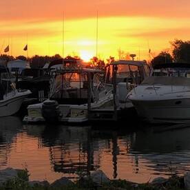 BlackH2oDog Ready to Go at Sunrise