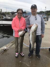 Highlands Report Photo 2