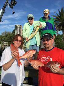 Mahi and Vermilion's!!!!!!!!!!!!